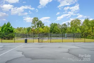 6883 Spring Peeper Ln, Lancaster, SC 29720 - Photo 42