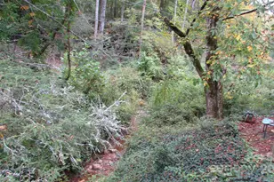 524 Clear Creek Rd, Burnsville, NC 28714 - Photo 16