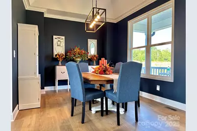 107 Toney Hill Drive, Ellenboro, NC 28040 - Photo 4