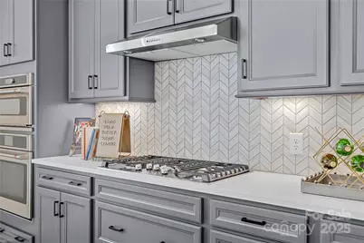 4119 Roe Creek Drive, Mint Hill, NC 28227 - Photo 4