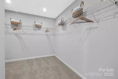 4119 Roe Creek Drive, Mint Hill, NC 28227 - Photo 22