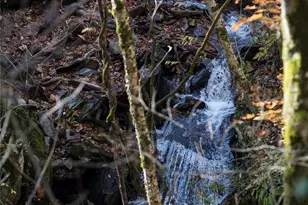 430 Long Branch Rd, Maggie Valley, NC 28751 - Photo 34