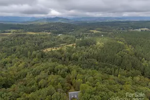 167 Balfour Dr, Rutherfordton, NC 28139 - Photo 46