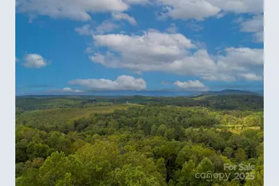 167 Balfour Drive, Rutherfordton, NC 28139 - Photo 44