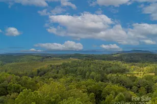 167 Balfour Dr, Rutherfordton, NC 28139 - Photo 44