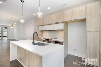 1225 Minter Place, Charlotte, NC 28203 - Photo 10