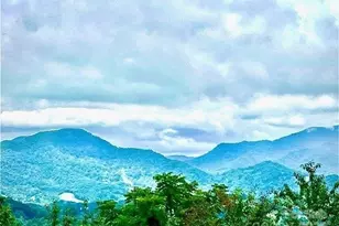 114 Nesting Ridge, Waynesville, NC 28785 - Photo 2