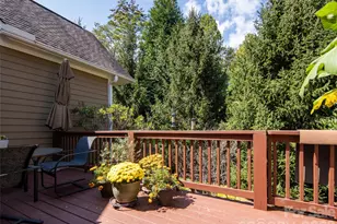 26 Black Horse Run, Biltmore Lake, NC 28715 - Photo 20