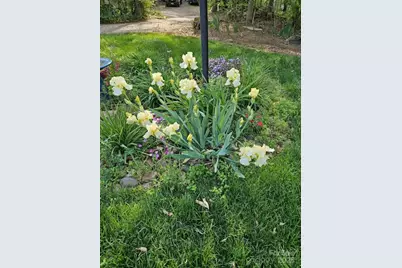 2199 Coddle Creek Highway, Mooresville, NC 28115 - Photo 4