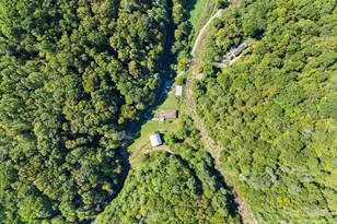 1623 Ammons Branch Rd, Marshall, NC 28753 - Photo 10