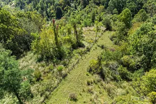 1623 Ammons Branch Rd, Marshall, NC 28753 - Photo 14