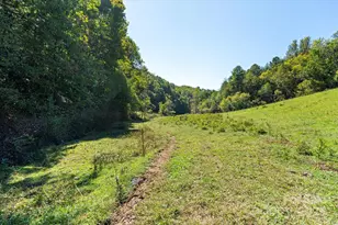 1623 Ammons Branch Rd, Marshall, NC 28753 - Photo 18