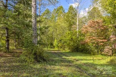 170 Midnight Sun Lane, Old Fort, NC 28762 - Photo 24