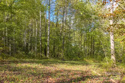 170 Midnight Sun Lane, Old Fort, NC 28762 - Photo 8