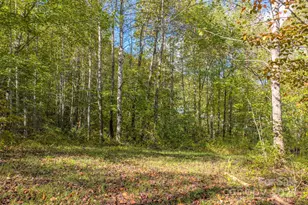 170 Midnight Sun Ln, Old Fort, NC 28762 - Photo 8