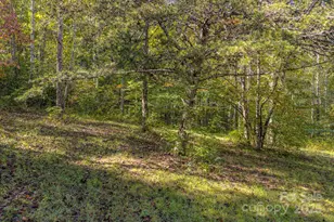 170 Midnight Sun Ln, Old Fort, NC 28762 - Photo 4