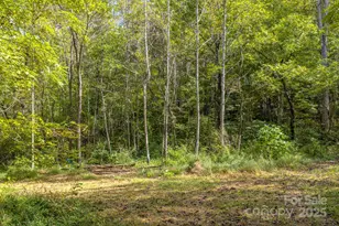 170 Midnight Sun Ln, Old Fort, NC 28762 - Photo 34