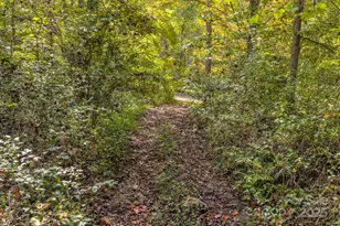 170 Midnight Sun Ln, Old Fort, NC 28762 - Photo 40