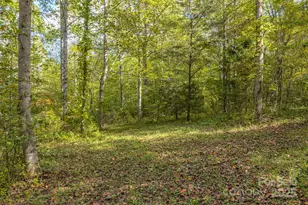 170 Midnight Sun Ln, Old Fort, NC 28762 - Photo 32