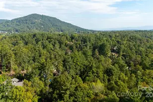 23 Dividing Ridge Tr, Arden, NC 28704 - Photo 34