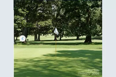 11011 Emerson Landing Drive, Charlotte, NC 28216 - Photo 28