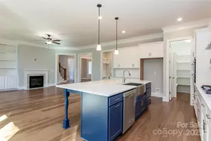 10046 Tepa Pl, Tega Cay, SC 29708 - Photo 8