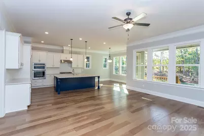 10046 Tepa Place, Tega Cay, SC 29708 - Photo 4