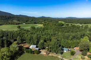 1434 Lake Adger Rd, Mill Spring, NC 28756 - Photo 44