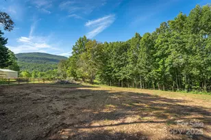 1434 Lake Adger Rd, Mill Spring, NC 28756 - Photo 40