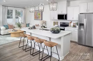 641 Cassidy Ct, Clover, SC 29710 - Photo 4