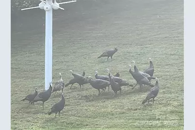 57 Union Chapel Road, Weaverville, NC 28787 - Photo 44