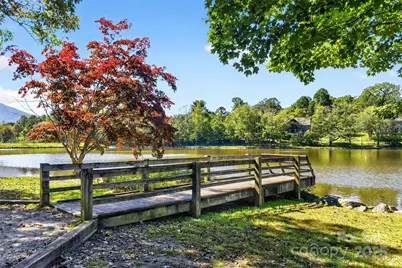 211 Rhododendron Avenue, Black Mountain, NC 28711 - Photo 48