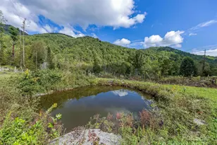 945 Roaring Fork Rd, Hot Springs, NC 28743 - Photo 34