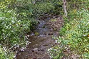 945 Roaring Fork Rd, Hot Springs, NC 28743 - Photo 42