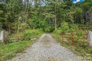 945 Roaring Fork Rd, Hot Springs, NC 28743 - Photo 44