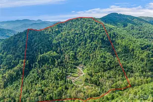 945 Roaring Fork Rd, Hot Springs, NC 28743 - Photo 4