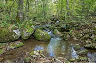 945 Roaring Fork Rd, Hot Springs, NC 28743 - Photo 40