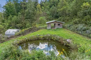 945 Roaring Fork Rd, Hot Springs, NC 28743 - Photo 32