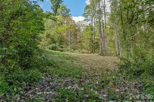 945 Roaring Fork Rd, Hot Springs, NC 28743 - Photo 42