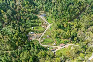 945 Roaring Fork Rd, Hot Springs, NC 28743 - Photo 22