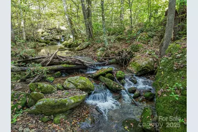 945 Roaring Fork Road, Hot Springs, NC 28743 - Photo 2