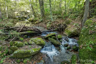 945 Roaring Fork Rd, Hot Springs, NC 28743 - Photo 2