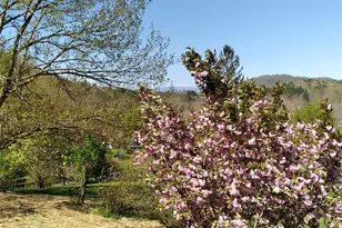 74 Huntley Rd, Fletcher, NC 28732 - Photo 46