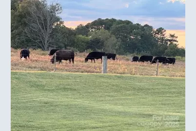 4241 Burton Lane, Denver, NC 28037 - Photo 32