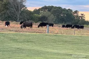 4241 Burton Ln, Denver, NC 28037 - Photo 32