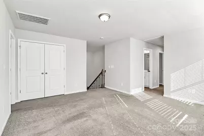 3852 Amalia Place, Fort Mill, SC 29707 - Photo 24