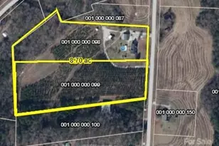 176 Griffin Rd, Pageland, SC 29728 - Photo 46