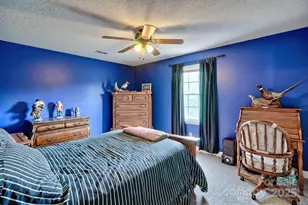 176 Griffin Rd, Pageland, SC 29728 - Photo 36