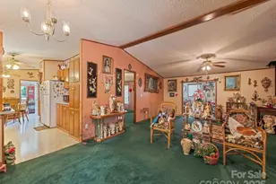 3383 Thickety Rd, Clyde, NC 28721 - Photo 24