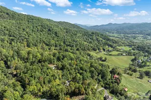 88 Brown Bear Way, Waynesville, NC 28786 - Photo 42